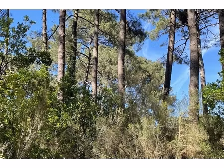 annonce terrain à vendre
