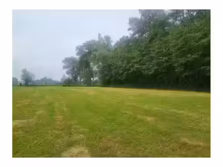 terrain à vendre à langedijk 37 vorst (rwc42962)
