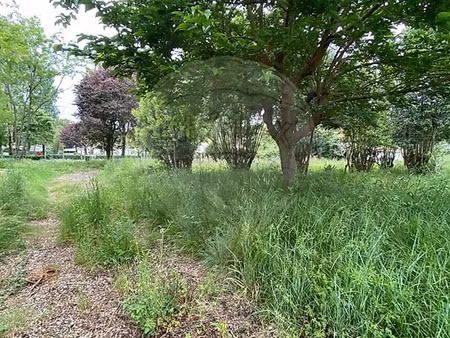 vente terrain saint-palais-sur-mer (17420) - - surface privée
