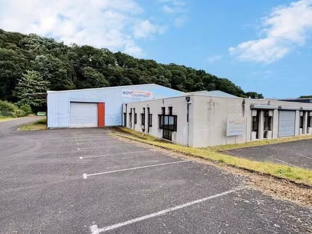 location local d’activités saint avold 57500 2680m²