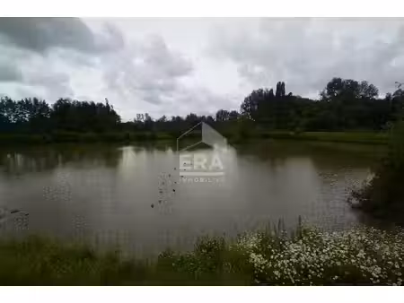 etang berlaimont 20100 m2 hutte numérotée