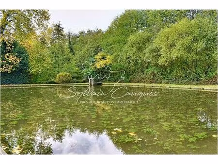 vente maison 9 pièces 237 m² bray-saint-aignan (45460)