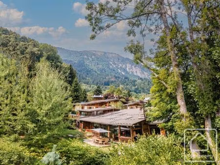 propriété de 10 chambres  à courte distance de marche des pistes de ski  jardin privé avec