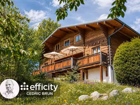 chalet de luxe à vendre dans le quartier ouest et nord