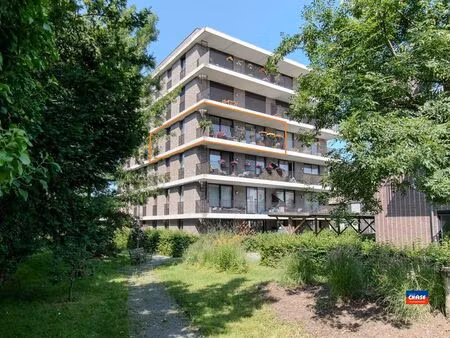 appartement à vendre à hoboken € 325.000 (lpxla) - chase vastgoed | zimmo