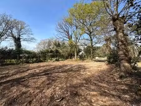 vente terrain à guémené-penfao (44290) : à vendre / 1233m² guémené-penfao