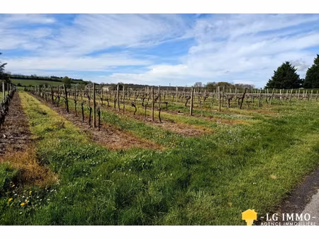 annonce terrain à vendre