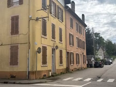 saint-dié-des-vosges - idéal investisseur - immeuble de rapport à usage mixte de 225m2