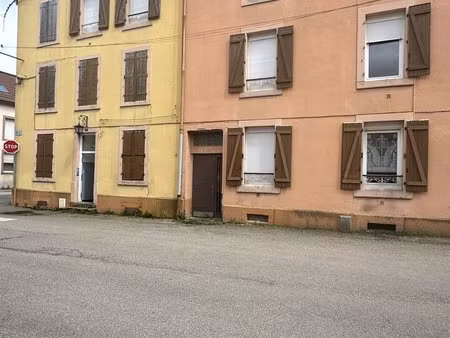saint-dié-des-vosges - idéal investisseur - immeuble de rapport à usage mixte de 225m2
