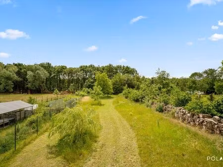 maison à vendre à steenokkerzeel € 749.000 (lpaak) - polares | zimmo