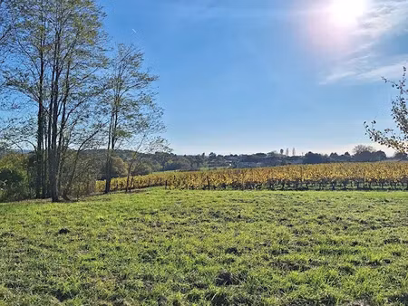 vente terrain 5409 m² à langoiran (33550)  160 000 €