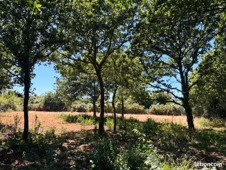 terrain de loisirs 9020 m2