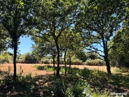 terrain de presque 1 hectare en zone naturelle