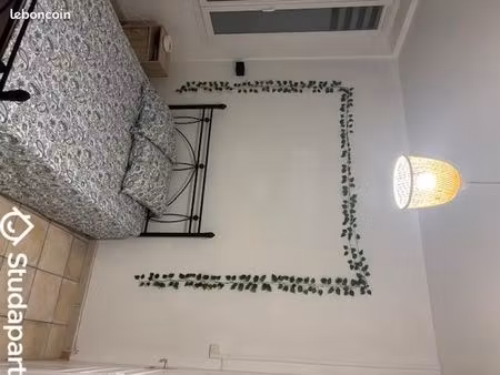 chambre 1 pièce 54 m²
