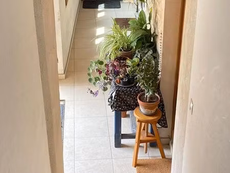 duplex f1 3kms maule