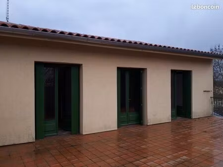 grand appartement t4