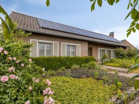 maison à vendre à ophoven € 540.000 (lpw92) - beneca vastgoed | zimmo