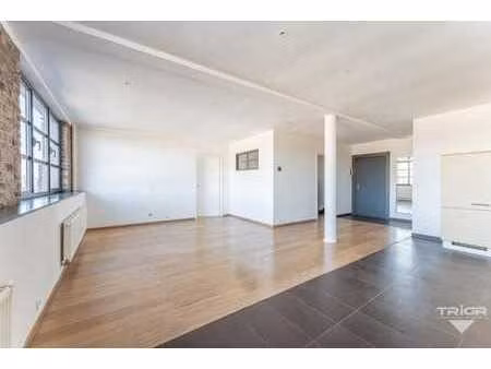 superbe loft deux chambres