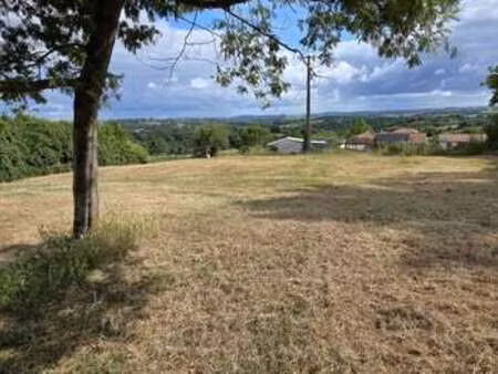 vente terrain à luxe-sumberraute (64120) : à vendre / 1200m² luxe-sumberraute