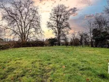 vente terrain à gours (33660) : à vendre / 600m² gours