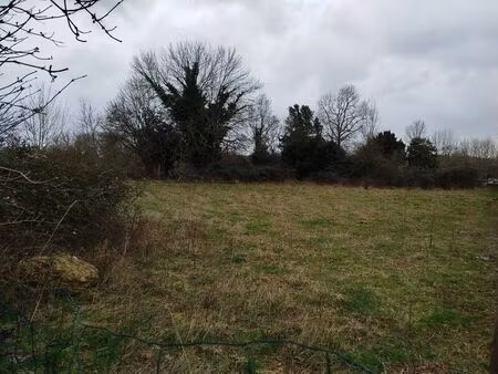 vente terrain 999 m² beaussais-vitré (79370)