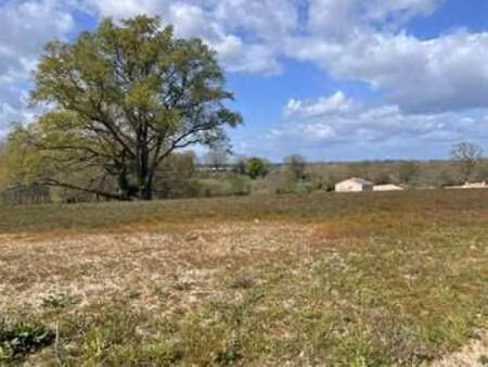 vente terrain à vertou (44120) : à vendre / 560m² vertou