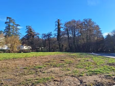 carignan de bordeaux