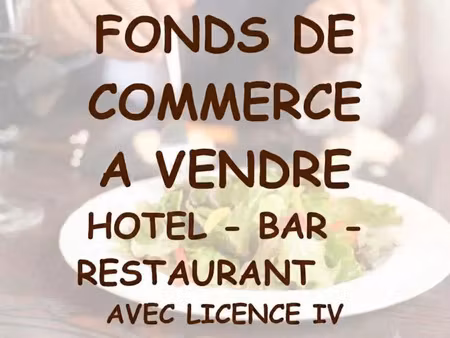 vente commerce 700 m² aizenay (85190)