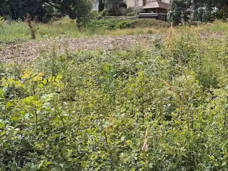 vente terrain 978 m² à challuy (58000)  24 000 €