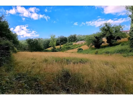 vente terrain 4217 m² à mirandol-bourgnounac (81190)  40 000 €