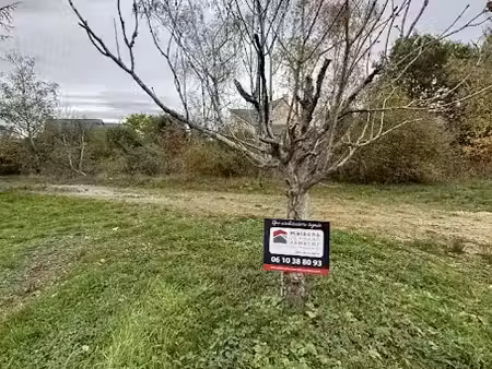 vente terrain 431 m² à lézigné (49430)  43 962 €