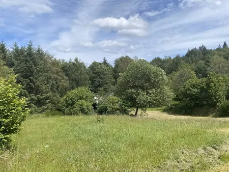 vente terrain à batir 1238 m² à bugeat (19170)  11 800 €
