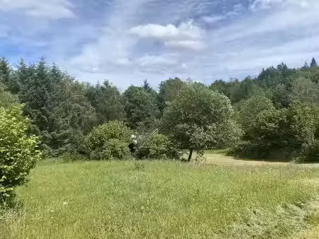 vente terrain à batir 1238 m² à bugeat (19170)  6 800 €