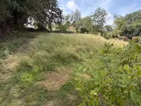 vente terrain 1188 m² à challuy (58000)  24 000 €
