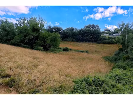 vente terrain 6238 m² à mirandol-bourgnounac (81190)  50 000 €