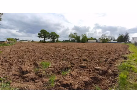 vente terrain 8057 m² à le merzer (22200)  80 000 €