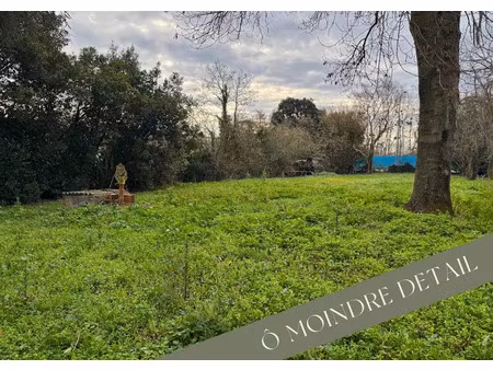 vente terrain à batir 1460 m² à montesquieu-volvestre (31310)  60 000 €