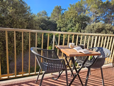 appartement peymeinade terrasse