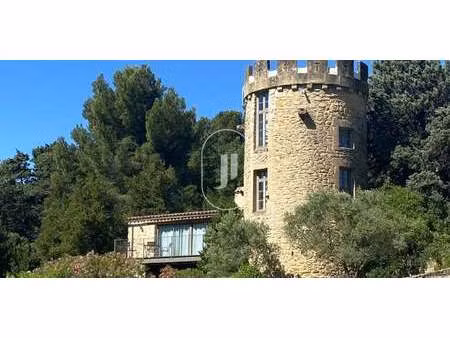 maison avec piscine et terrasse jonquieres (84)