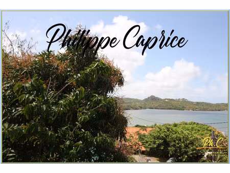 dpt martinique (972)  à vendre le francois terrain