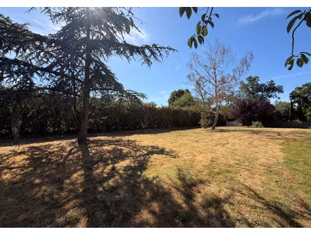 terrain constructible arboré de 608 m2.