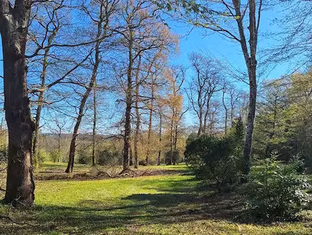 vente terrain 2380 m² à sadirac (33670)  350 000 €