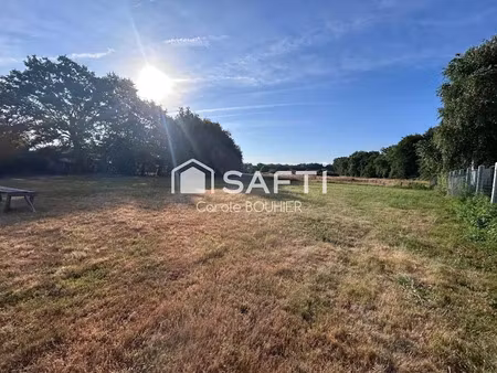 vente terrain à batir 11580 m² à biganos (33380)  326 200 €