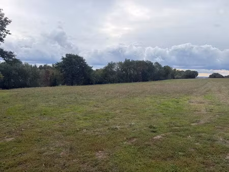 vente terrain 650 m² à mirepoix-sur-tarn (31340)  95 000 €