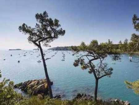 vente terrain à cancale (35260) : à vendre / 434m² cancale