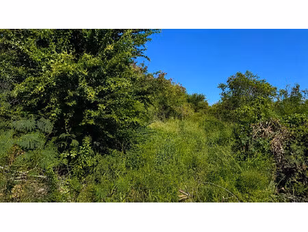 terrain constructible situé en zone ue du plu de l'étang-salé
