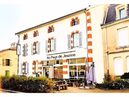 vente locaux professionnels 9 pièces 380 m² à domrémy-la-pucelle (88630)  103 000 €