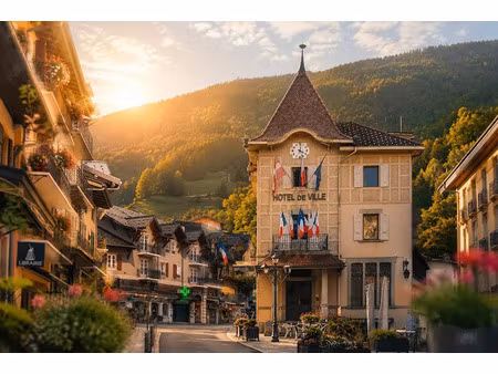 vente locaux professionnels à saint-gervais-les-bains (74170)  478 800 €