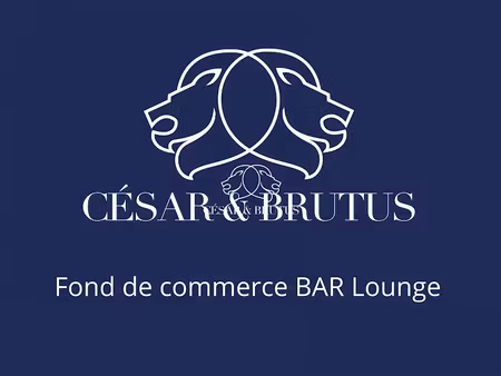 vente locaux professionnels 55 m² à roanne (42300)  72 000 €