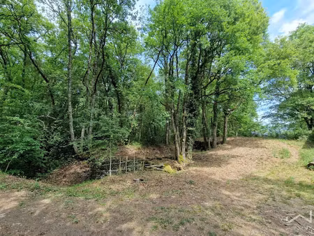vente locaux professionnels 0 pièces à charentilly (37390)  10 000 €